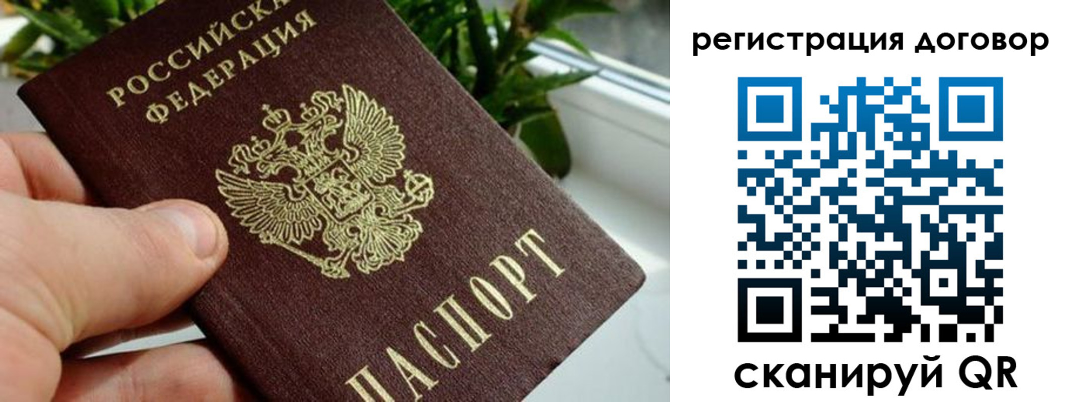 прописка ребенка в Зиме